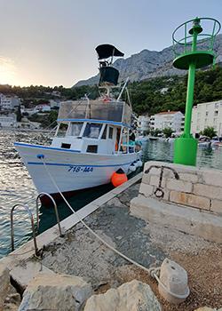 Imamo 5500 korisnika 4